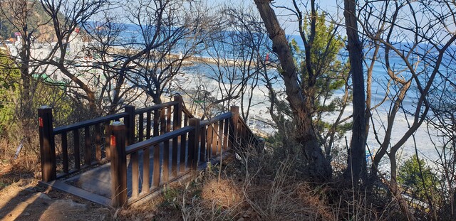 강릉바우길 8구간 '산우에 바닷길' 안인해변에서 오르는 산책로. 사진 강나리 기자.