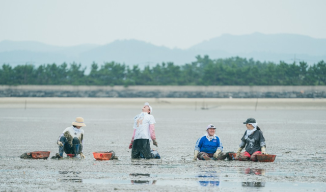 최근 방송되고 있는 힐링예능 '언니네 산지직송'. 사진 공식홈페이지 갈무리.