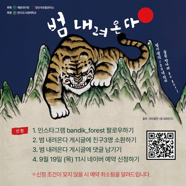 부산 해운대 장산 특별 프로그램 운영 - 뉴스 썸네일 이미지