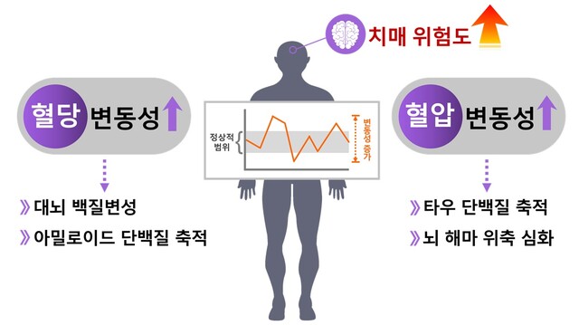 혈당과 혈압 변동성과 치매 위험성. 이미지 국립보건연구원.