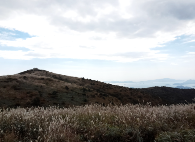 천관산 정상 억새능선. 맑은 날씨에는 제주 한라산이 보인다. 사진 천관산자연휴양림 누리집 갈무리.