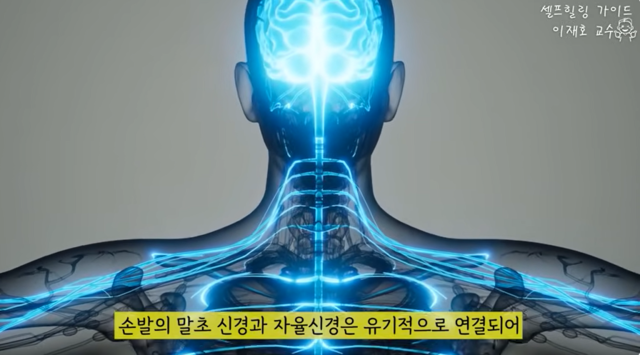자율신경은 우리 몸의 생명 기능인 호흡, 심장박동, 체온조절, 호르몬 분비, 소화, 생식, 면역 기능 등을 스스로 조절하며 항상성을 유지한다. 사진 일지의 브레인TV 갈무리.