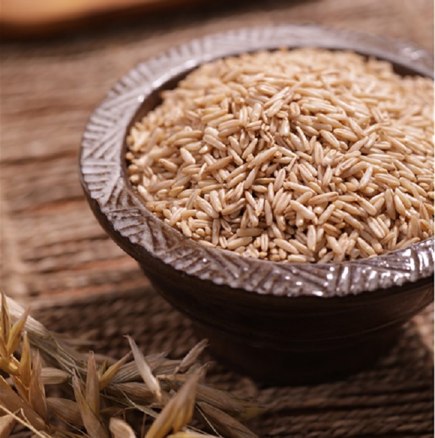 ‘대양’ 귀리. 이미지 농촌진흥청.