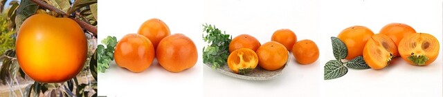 진홍, 원미, 조완, 로망 단감. 이미지 농촌진흥청.