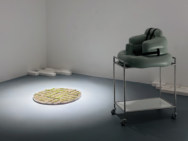 노태호, 분리된 세대의 침전물, 2024.  전시 장면. 사진 아트 포 랩