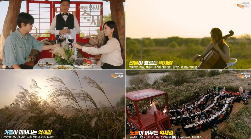 광주 서창억새축제에서 억새 속 시크릿 다이닝, 음악이 흐르는 억새길 등 감성어린 프로그램이 진행된다. 사진 서창억새축제 홍보영상 갈무리.