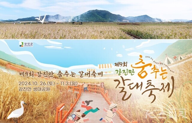 전남 강진만생태공원에서 열리는 '강진만 춤추는 갈대축제'. 사진 공식누리집 갈무리.