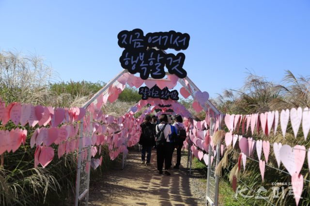 하늘공원 바람길에 자신의 소원을 적은 시민들. 사진 서울시