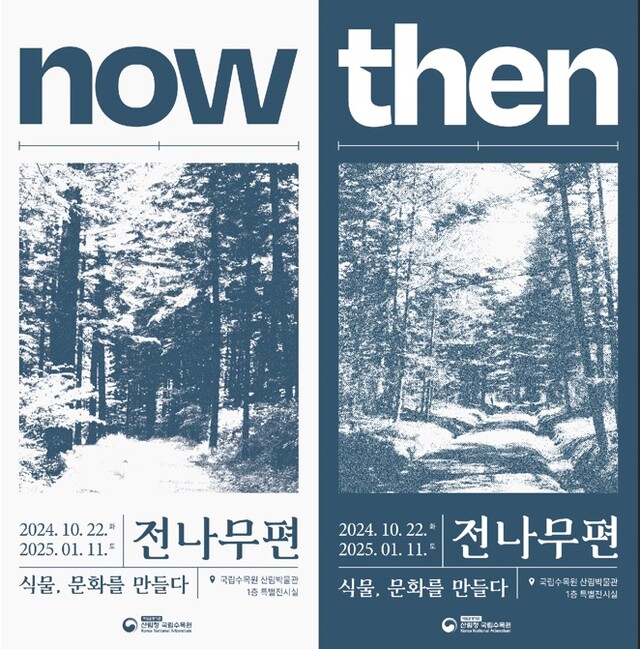 ‘식물, 문화를 만들다(전나무편)’ 포스터. 이미지 국립수목원.