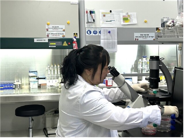 해당화 추출물 실험. 이미지 국립호남권생물자원관.