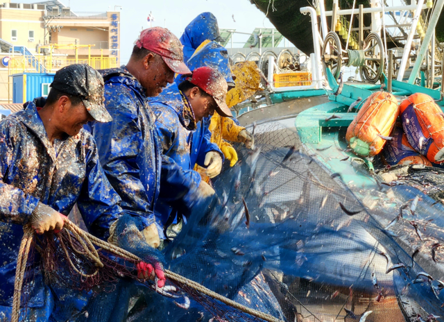해양수산부 주최 '제6회 국가어항 디지털 사진 공모전' 최우수상 인물부문 수상작 부산 기장군 대변항을 촬영한  이명재 씨의 '대변항 멸치작업'. 사진 해양수산부.