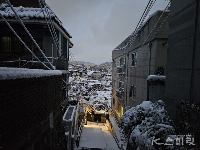 온통 첫눈으로 뒤덮힌 서울 주택가의 새벽. 사진 강나리 기자.
