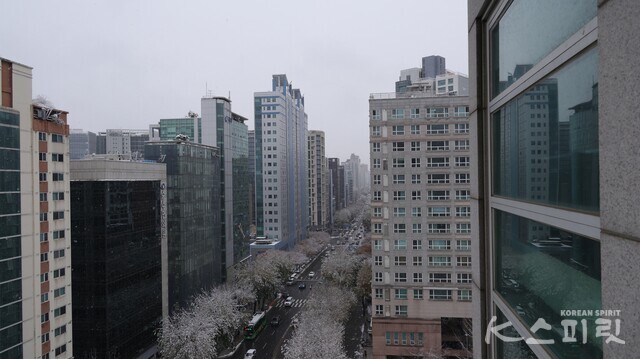 27일 오전 11시 서울 평균 15cm 눈이 쌓인 가운데 계속 내리는 눈 속 강남 빌딩가. 사진 강나리 기자.