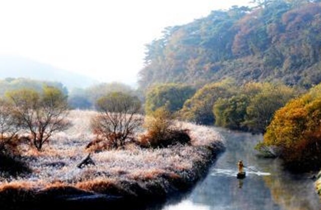창녕 ‘우포늪’ 전경. 이미지 환경부.