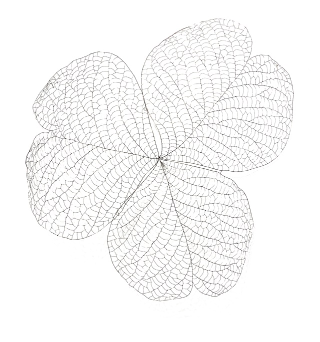 정광호Jung Kwang Ho, The Flower 21100, 2021, Copper Wire, 100 x 100 cm. 사진 제공 조현화랑