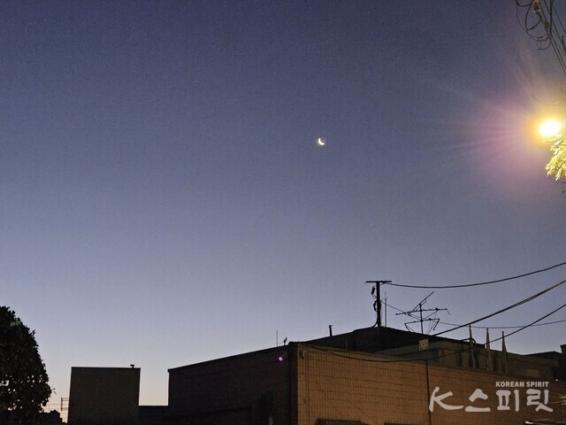 푸른 빛으로 밝아오는 하늘의 주인은 아직 초생달이다. 사진 강나리 기자.