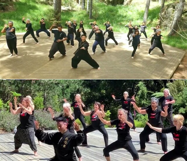 뉴질랜드 숲에서 현지인과 한국의 국학기공과 명상을 하는 브레인 박 원장. 사진 대한국학기공협회 제공.