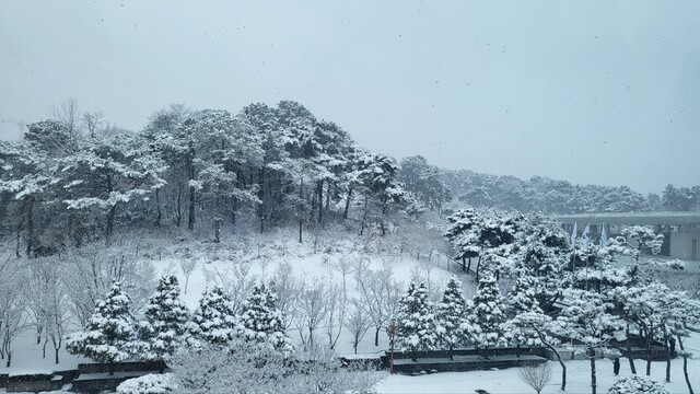 광주 광역시 눈 광경 . 사진  설성현 기자