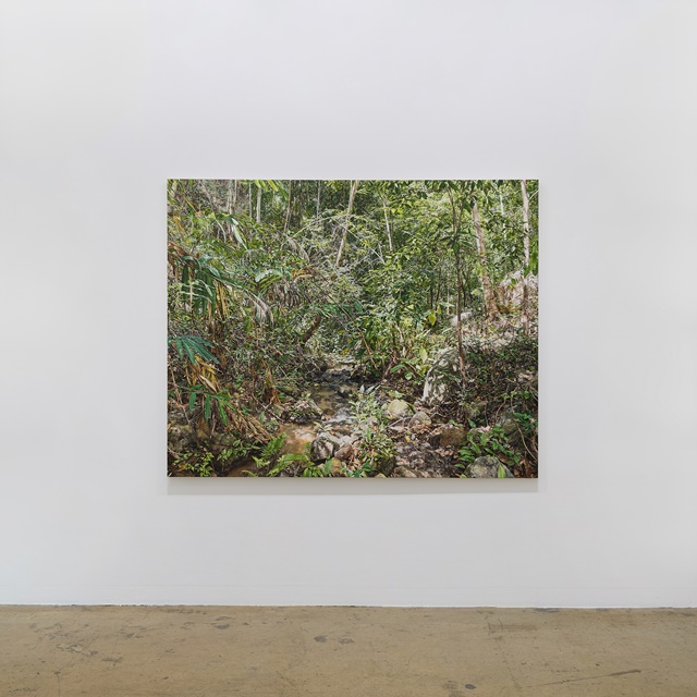 노경희,  2024 02,  린넨에 유화, oil on linen, 130.5x162cm. 이미지 갤러리밈