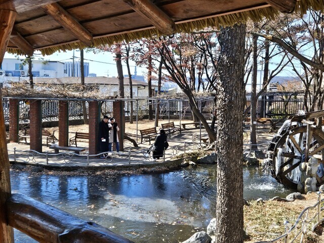 서울 종로구 정독도서관 내 청음정 정자에서 바라본 풍경. 새소리가 맑다. 사진 강나리 기자.