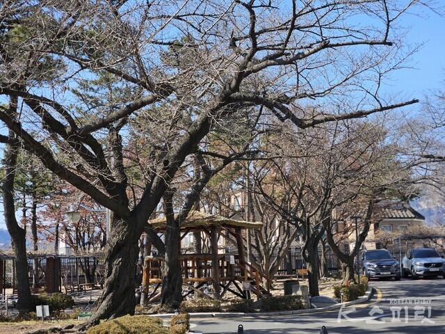 멀리 서 돌아본 청음정. 사진 강나리 기자.