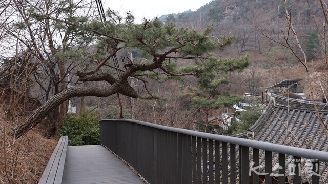 청운문학도서관으로 내려가는 데크길도 멋스럽다. 사진 강나리 기자.