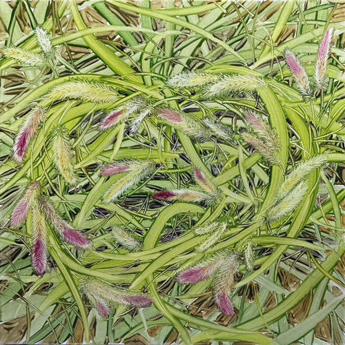 이플, ♡, 2025, Oil and oil pastel on canvas, 45.5×45.5cm. 이미지 갤러리5