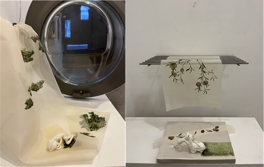 ▲왼쪽, 김미현, 맹그로브 이불로 엮은 안식처, 2025, 한지, 스틸, 실크 위에 채색, 드럼세탁기 부품, 43☓71cm, '영, 양 제' 개인전 중 일부▲오른쪽, 김미현, 제초작업, 땅에서도 이루어진 시간, 2025, 한지, 스틸, 목재, 아크릴, 실크 위에 채색, 50☓36cm, '영, 양 제' 개인전 중 일부. 사진 김미현