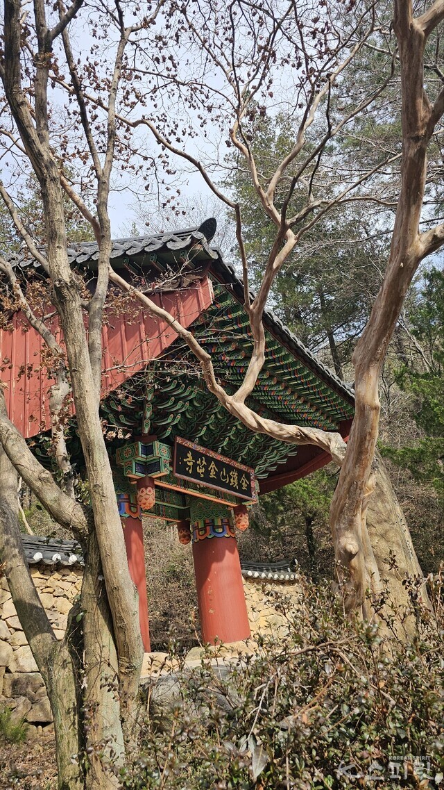 금전산 기슭 금둔사는 9세기 전반 통일신라시기 조성된 사찰로 1,200여 년 전 세워진 고찰이다. 사진 오소후 시인.