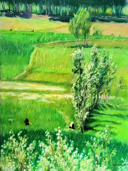 아프간의 봄3Spring of Afghanistan No.3, 2024, Oil pastel on canvas, 45.5×33.4cm. 갤러리5