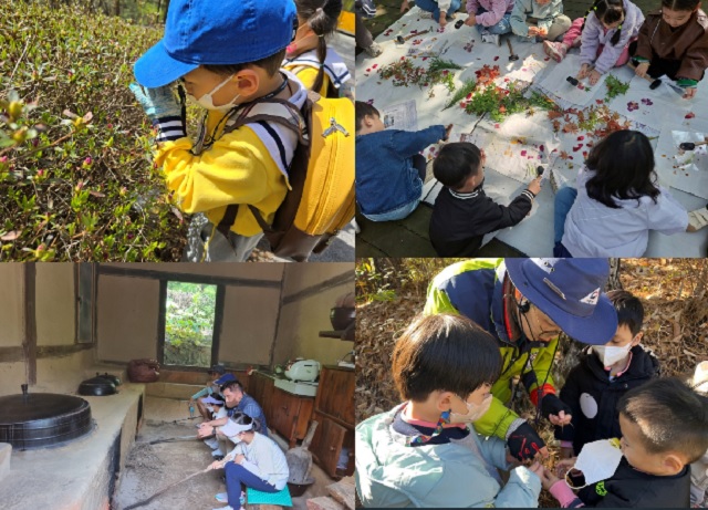 산림교육문화프로그램 장면들. 이미지 산림청.