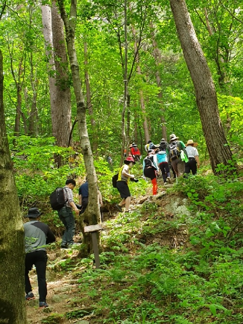 문수산 숲길 체험. 이미지 영주국유림관리소.