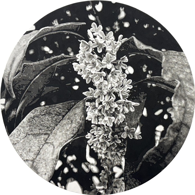 Recorded, 2025, 순지에 수묵, 60cm 원형. 이미지 TYA갤러리