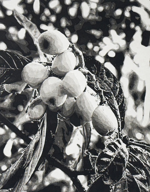 Recorded, 2025, 순지에 수묵, 40.9x31.8cm. 이미지 TYA갤러리