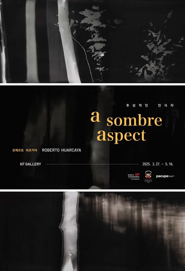 로베르토 와르카야(Roberto Huarcaya) 사진전 《추상적인 인식자》포스터. 이미지 한국국제교류재단