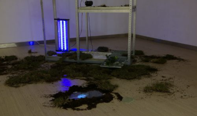 배윤재, 아직도 궤도를 돌고 있고, 아무런 말 조차 없다. 이미지 TYA갤러리