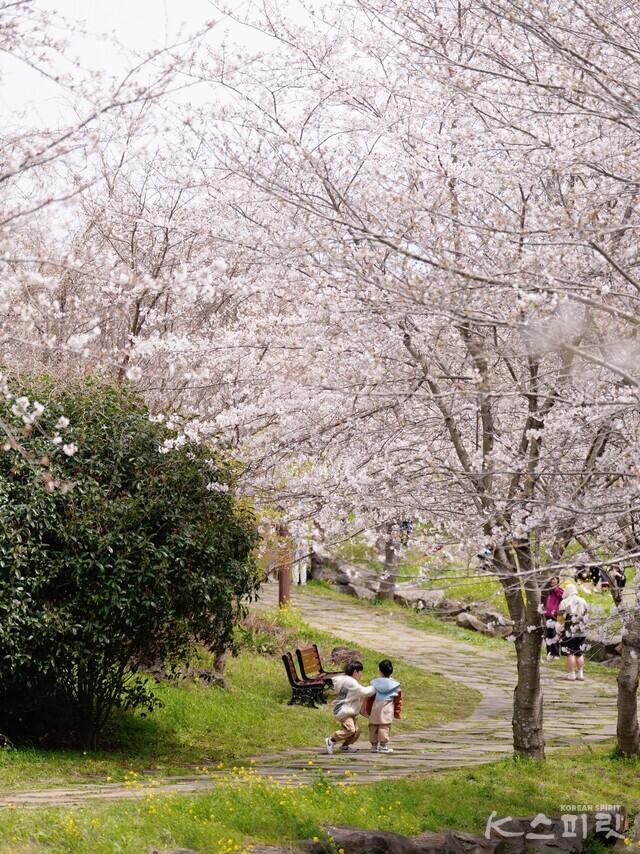 서귀포시 대왕수천 예래생태공원을 찾은 아이들(촬영 오전 11시 30분) 사진 하미진 기자.