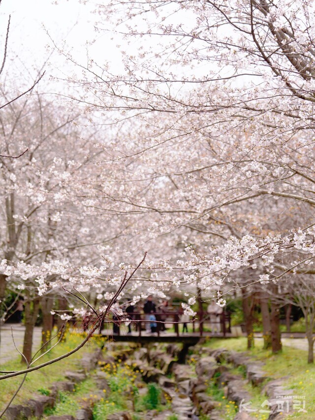 서귀포시 대왕수천 예래생태공원. 사진 강나리 기자.