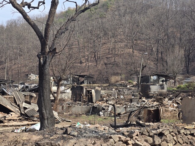 안동시 일직면 장사리 마을도 8가구가 전소되는 등 큰 피해를 입었다. 사진 지구시민연합.