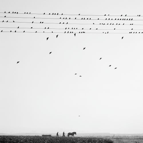 펜티 사말라티, Przevorsk Poland, 2005, ©Pentti Sammallahti.  사진 제공 공근혜갤러리