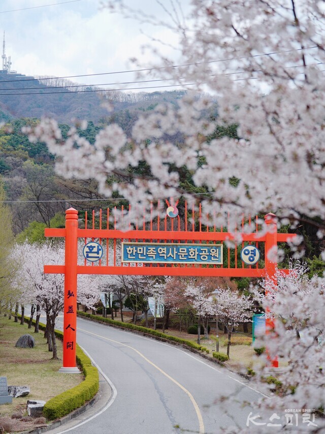 15일 충남 천안 국학원 본원과 경내 한민족역사문화공원에는 봄빛이 깃들었다. 사진 하미진 기자.