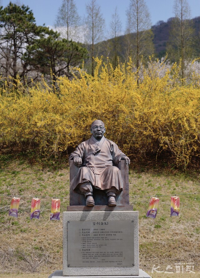 독립운동가 중 백범 김구 선생 동상의 등 뒤로 펼쳐진 개나리꽃들로 후광을 두른 듯. 사진 하미진 기자.