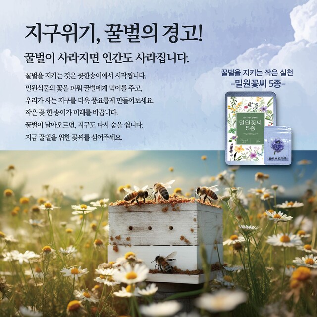 박경남 작가와 김한솔 출판사 대표, 이철수 일러스트 작가 3인이 국학의인이 진행 중인 텀블벅 펀딩 중 구매자에게 주는 선물로 꿀벌을 살리는 밀원꽃씨 5종 세트가 포함되어 있다. 사진 솔밭사이로출판사.