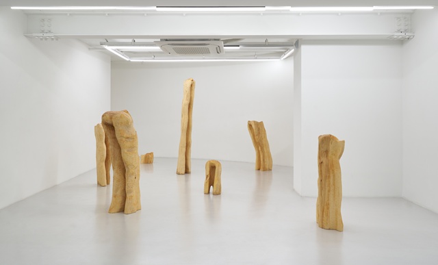 이동훈, 긴 새 연작, 2025, installation view. 이미지 갤러리에스피