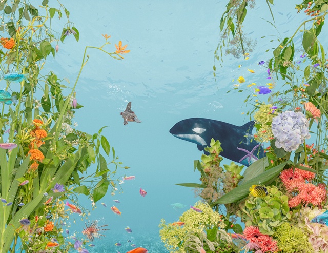 Adventure of Platypus III (오리너구리의 모험 3), 2024, Pigment print on paper, 111x114cm. 이미지 갤러리LVS.