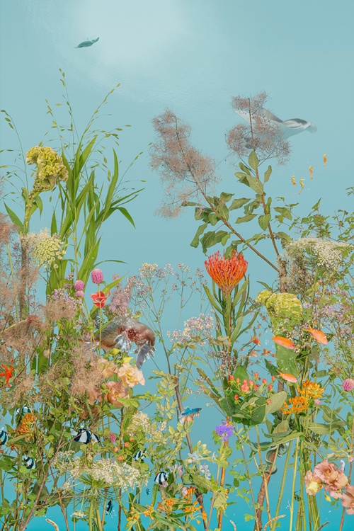 Adventure of Platypus I (오리너구리의 모험 1), 2023, Pigment print on paper, 117x78cm.  이미지 갤러리LVS