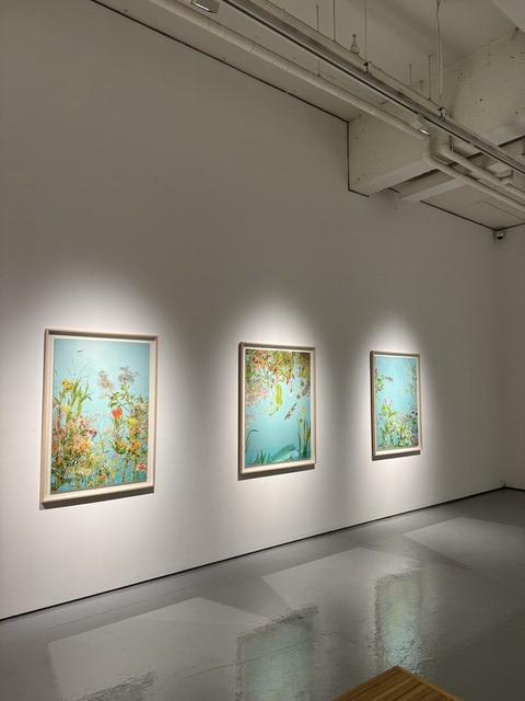 김시종 개인전 "Supernatural" 전시 모습. 이미지 갤러리LVS