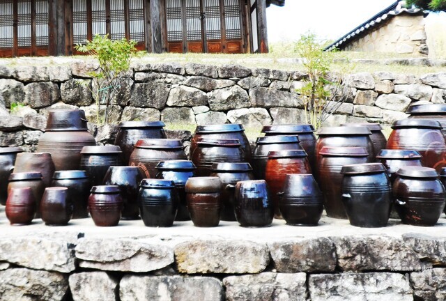 이여울 작가의 디카시 '세월'. 경북 청도읍성에서. 사진 이여울 작가