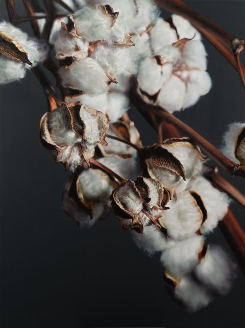 Kang Kang Hoon, Cotton, 2025. Oil on Canvas, 259 x 194 cm. 이미지 제공 조현갤러리