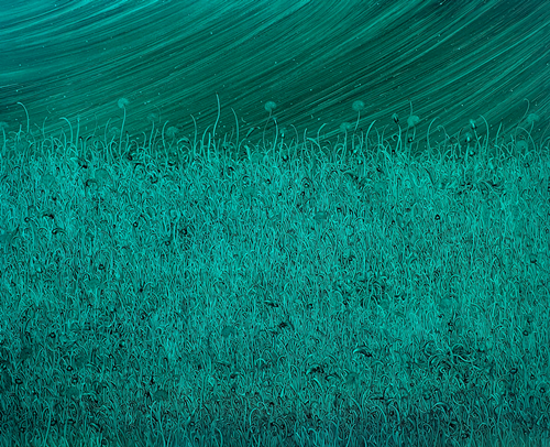 박수형, continuous play_spiral02, 2024, oil on canvas, 130×162cm. 이미지 스텔라갤러리